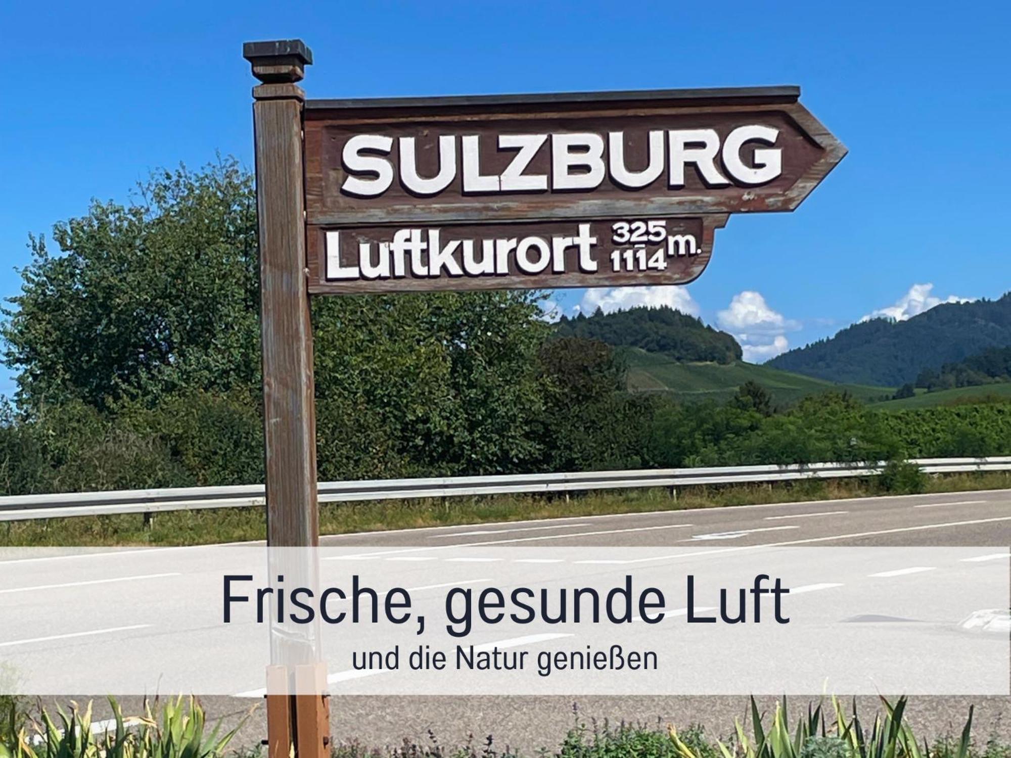 Ferienwohnungen Auszeit Langmatt Sulzburg Ngoại thất bức ảnh