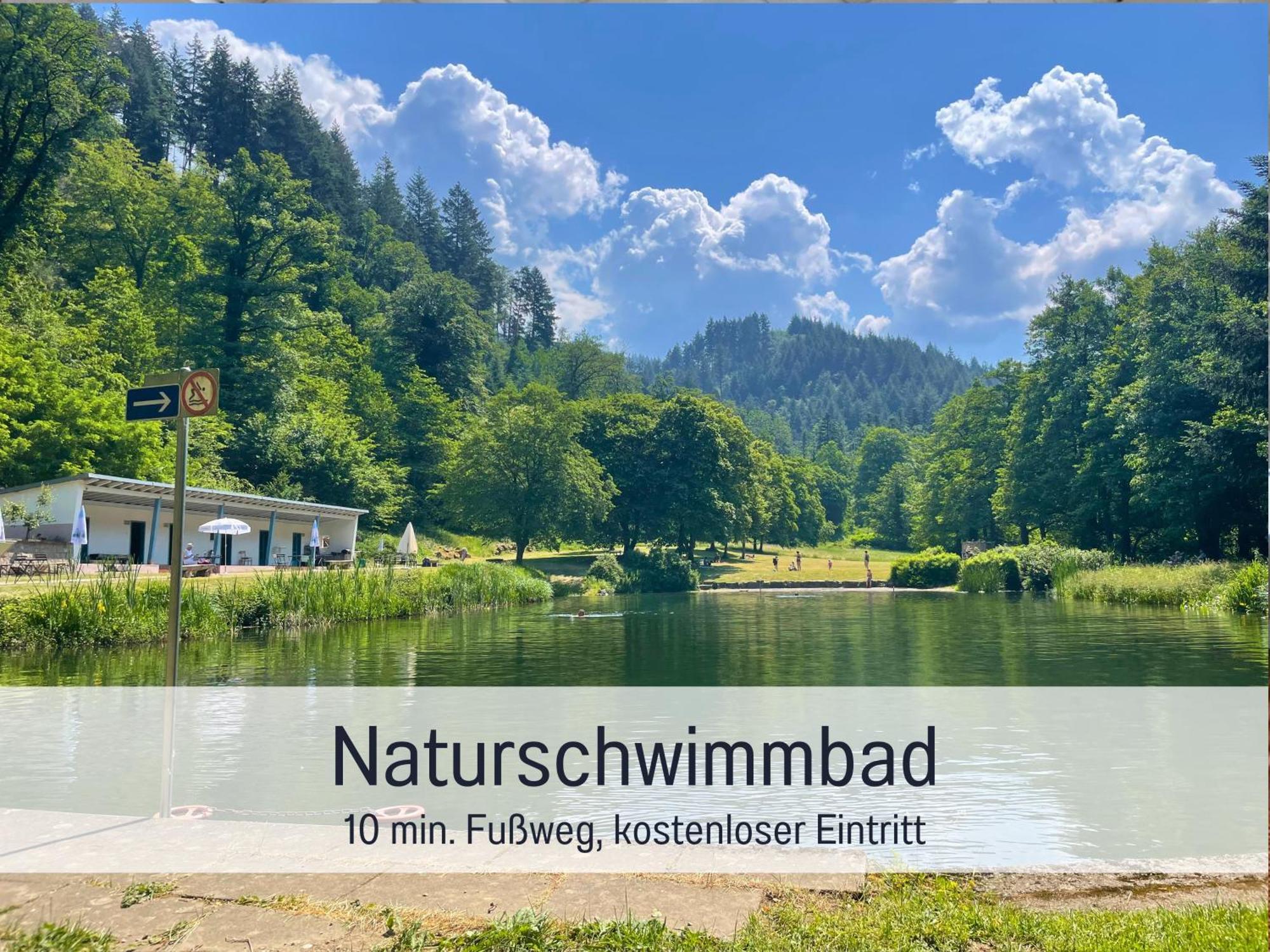 Ferienwohnungen Auszeit Langmatt Sulzburg Ngoại thất bức ảnh