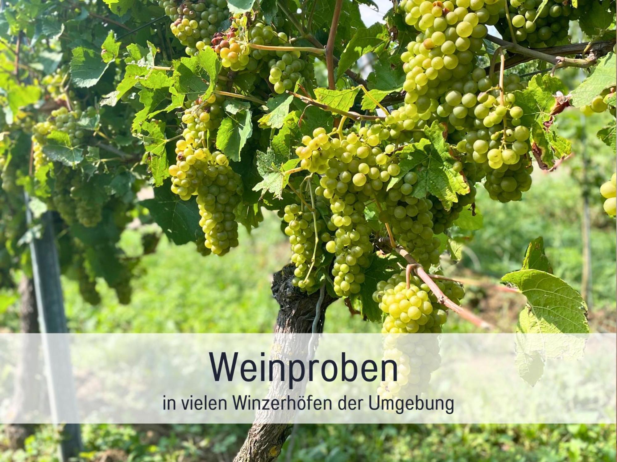 Ferienwohnungen Auszeit Langmatt Sulzburg Ngoại thất bức ảnh