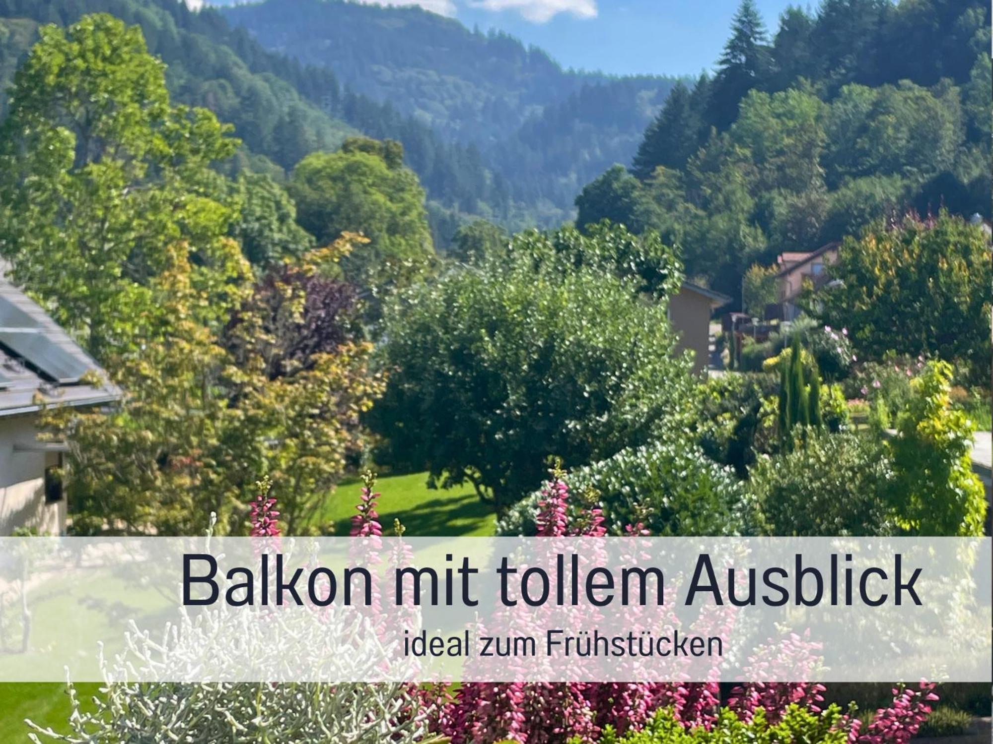 Ferienwohnungen Auszeit Langmatt Sulzburg Ngoại thất bức ảnh